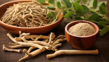 Why Ashwagandha is Your Go-To Adaptogen